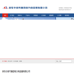 新东北电气集团电力电容器有限公司